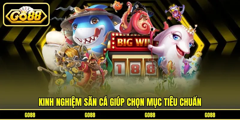 Kinh nghiệm săn cá giúp chọn mục tiêu chuẩn