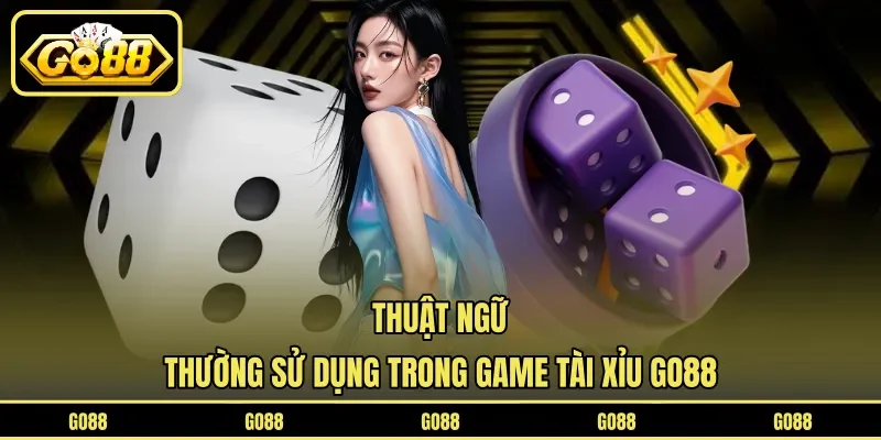 Thuật ngữ thường sử dụng trong game Tài Xỉu GO88